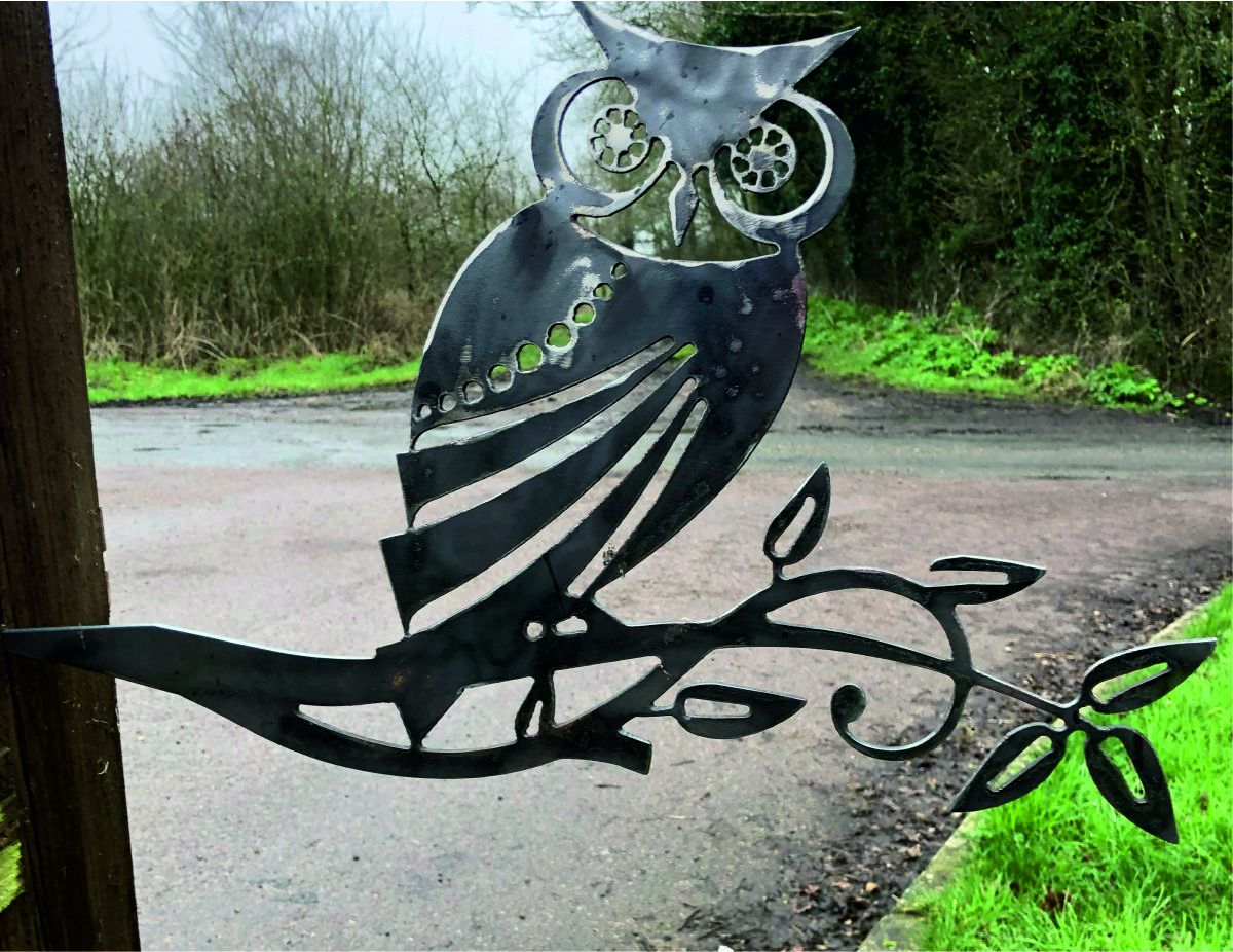 Owl